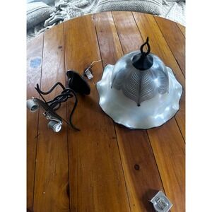 Quoizel Todd Phillips 2006 Signed Art Glass Peacock Ceiling Light VESL1716B